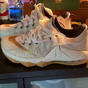 Lebron 12 lows “Olympic”